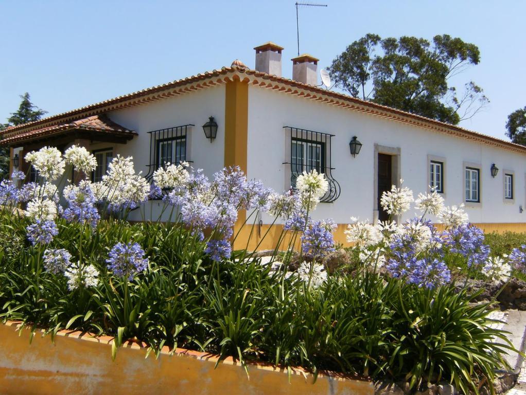 Quinta Da Torre - Obidos Country House Dış mekan fotoğraf