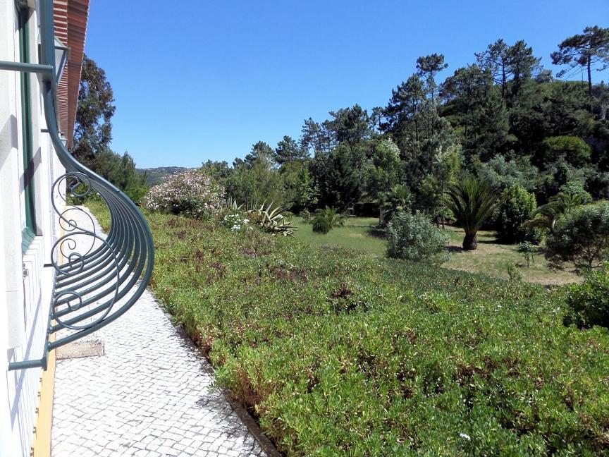 Quinta Da Torre - Obidos Country House Dış mekan fotoğraf